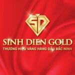 vang sinh dien bac ninh logo