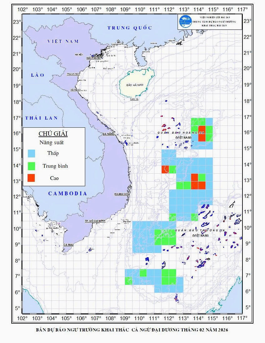 Hoạt động đánh bắt cá ngừ đại dương