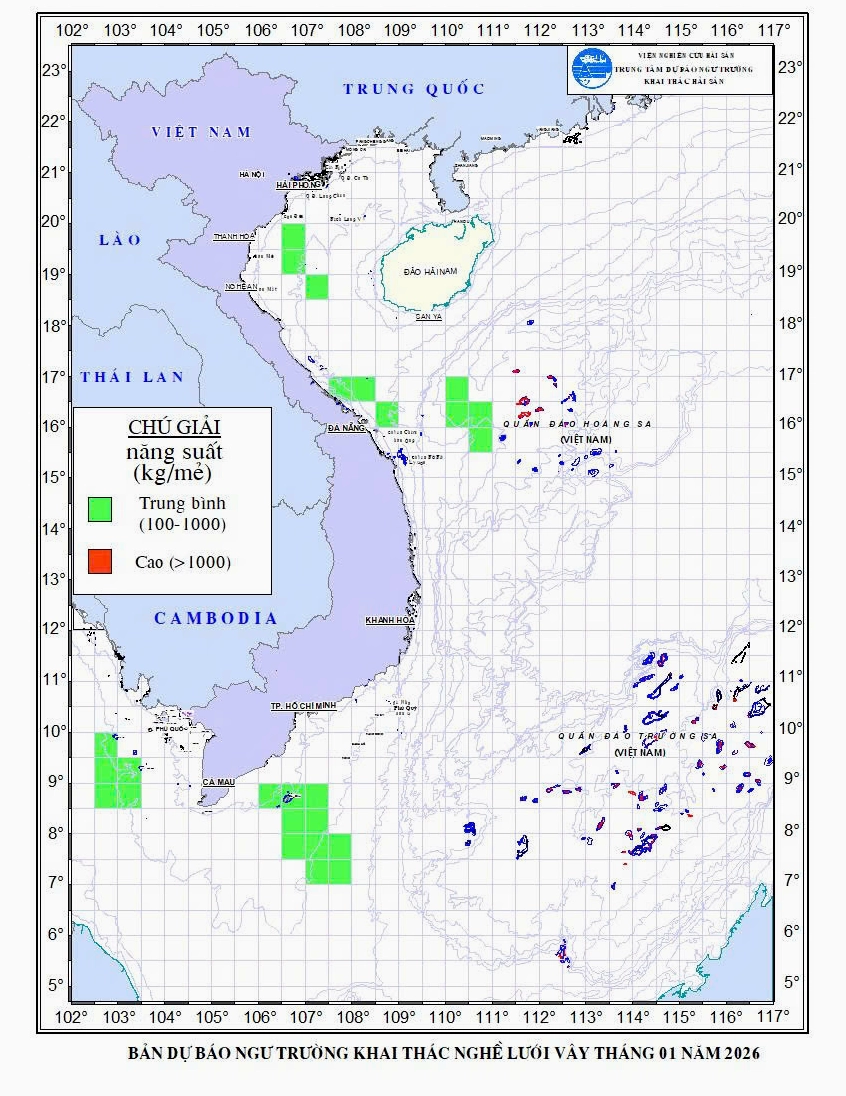 Ngư dân khai thác hải sản bằng lưới vây